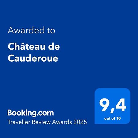 Chateau De Cauderoue Nerac Ngoại thất bức ảnh