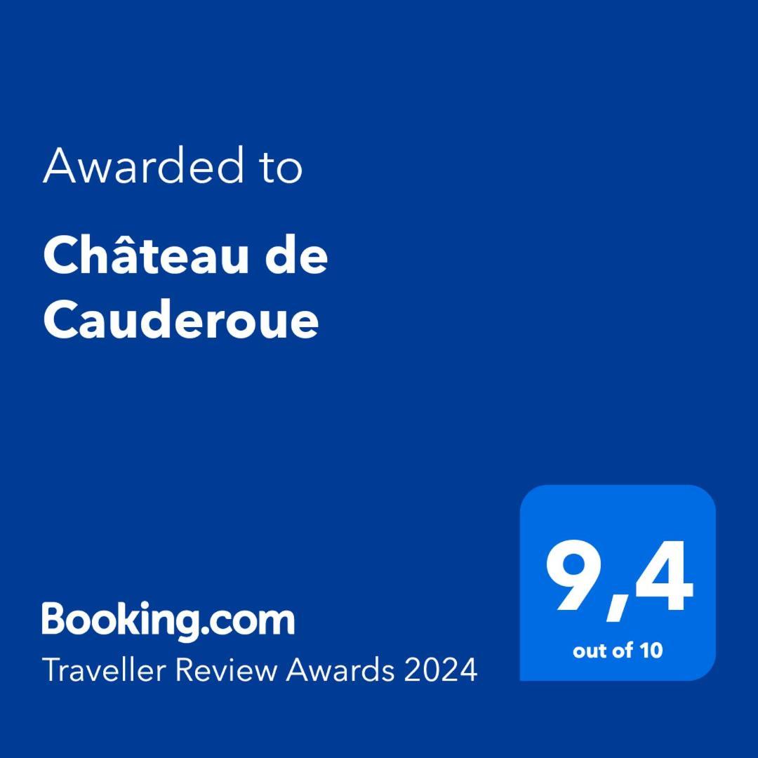 Chateau De Cauderoue Bed & Breakfast Nerac Ngoại thất bức ảnh